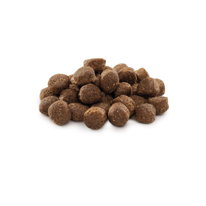 Brit Premium Dog Adult M Сухий корм з куркою для дорослих собак середніх порід 15 кг