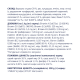 Club 4 Paws Adult Small Breeds Сухий корм для дорослих собак малих порід 2кг