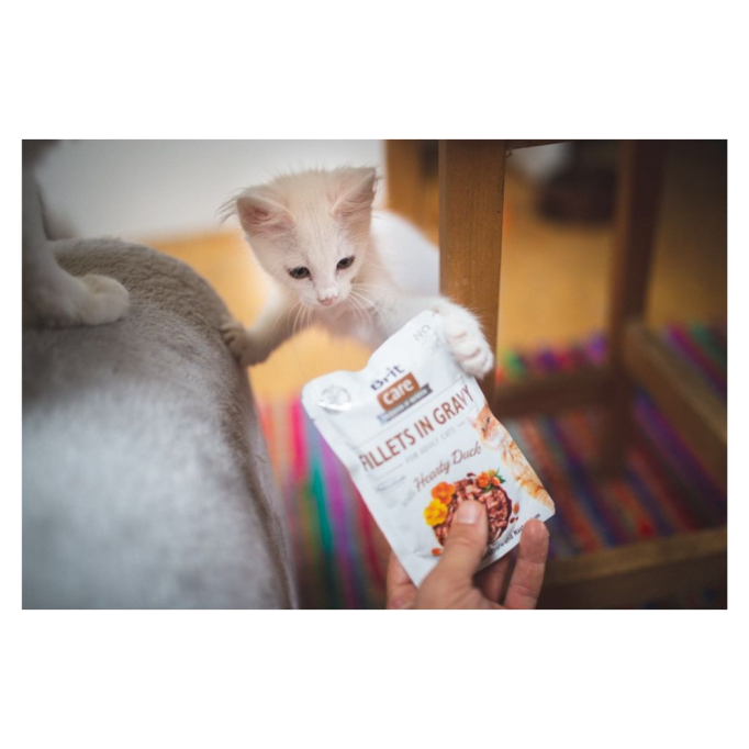 Brit Care Cat Fillets In Gravy with Hearty Duck Вологий корм з качкою для дорослих котів (в соусі) 85г 24шт