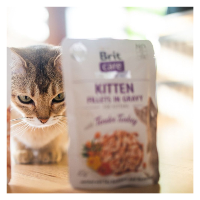 Brit Care Kitten Fillets in Gravy Tender Turkey Вологий корм з індичкою для кошенят (в соусі) 85г 24шт