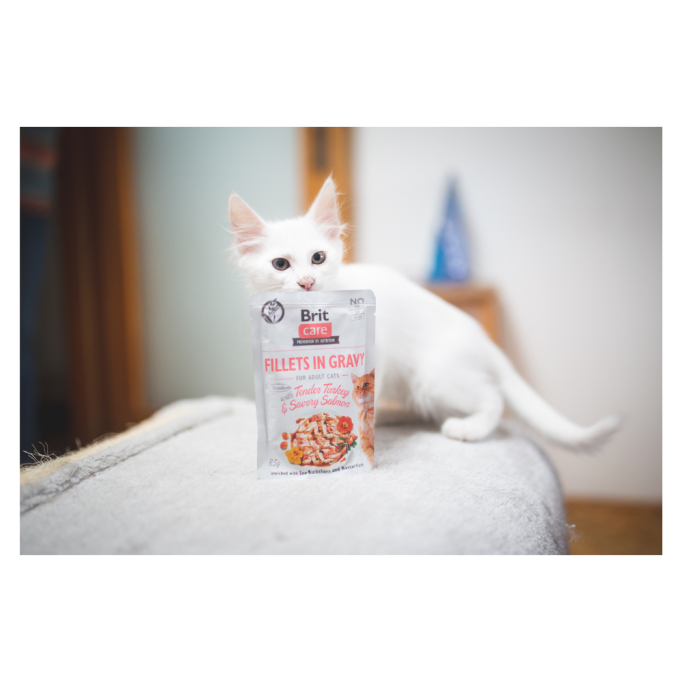 Brit Care Cat Fillets In Gravy with Tender Turkey & Savory Salmon Вологий корм з індичкою та лососем для дорослих котів (в соусі) 85г 24шт