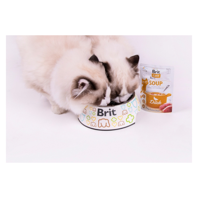 Brit Care Soup Duck Вологий корм суп з качкою для дорослих котів 75г 15шт