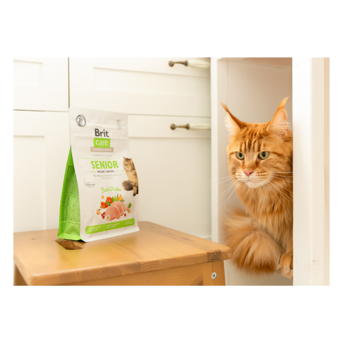 Brit Care Senior Weight Control Fresh Chicken Беззерновий гіпоалергенний сухий корм для котів похилого віку з надмірною вагою 2кг