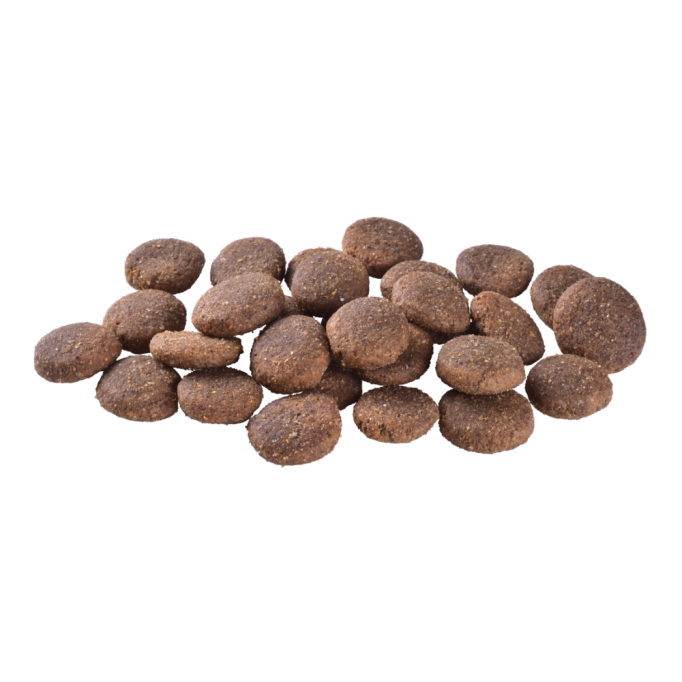 Brit Care Dog Grain-free Adult Large Breed Сухий беззерновий корм з лососем для дорослих собак великих порід 12кг
