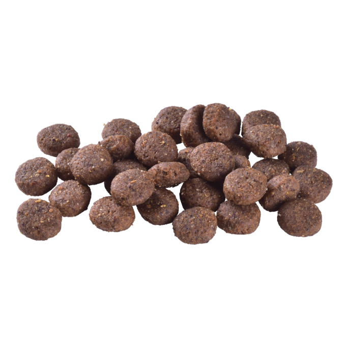 Brit Care Dog Sustainable Adult Medium Breed Сухий корм з куркою та комахами для дорослих собак середніх порід 12кг
