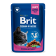 Brit Premium Cat Chicken & Turkey pouch Вологий корм з куркою та індичкою для дорослих котів (в соусі) 100г 24шт
