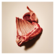 Carnilove Active Lamb & Wild Boar Sterilised Сухий корм з ягням та диким кабаном для дорослих стерилізованих котів 2кг