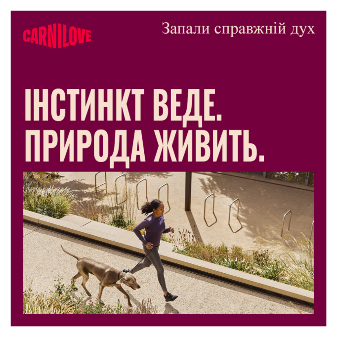 Carnilove Active Lamb & Wild Boar Сухий корм з ягням і диким кабаном для дорослих собак 12кг