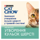 Cat Chow Hairball Вологий корм з куркою та зеленою квасолею для дорослих котів з ефектом виведення шерсті (в соусі) 85г 26шт