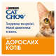 Cat Chow Adult Вологий корм з куркою та цукіні для дорослих котів (в желе) 85г 26шт
