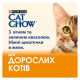 Cat Chow Adult Вологий корм з ягням та зеленою квасолею для дорослих котів (в желе) 85г 26шт