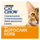 Cat Chow Adult Вологий корм з яловичиною та баклажанами для дорослих котів (в желе) 85г 26шт