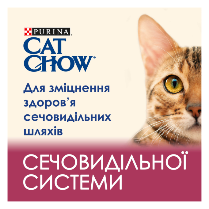 Cat Chow Special Care Urinary Tract Health Сухий корм з куркою для дорослих котів Підтримка здоров'я сечовивідної системи 1,5кг