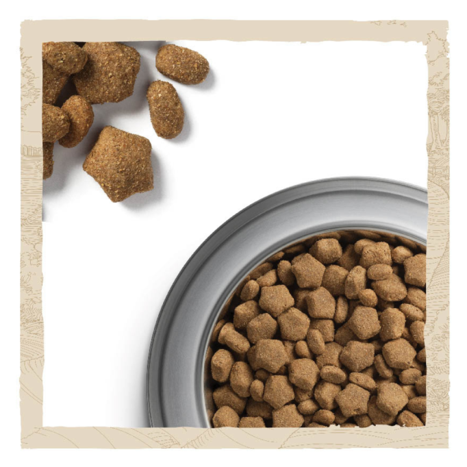 Dog Chow Active Chicken Сухий корм для дорослих активних собак з куркою 2,5кг