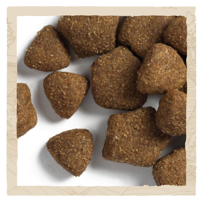 Dog Chow Adult Large Breed Turkey Сухий корм з індичкою для дорослих собак великих порід 14кг