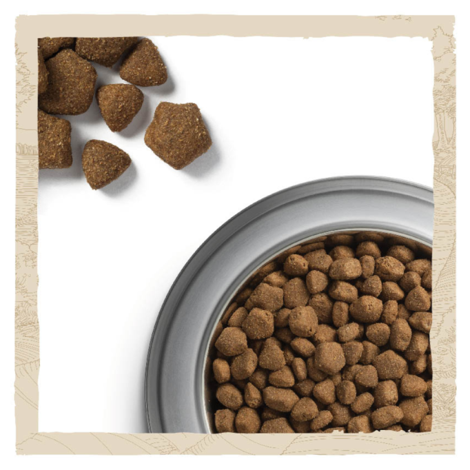 Dog Chow Adult Large Breed Turkey Сухий корм з індичкою для дорослих собак великих порід 14кг