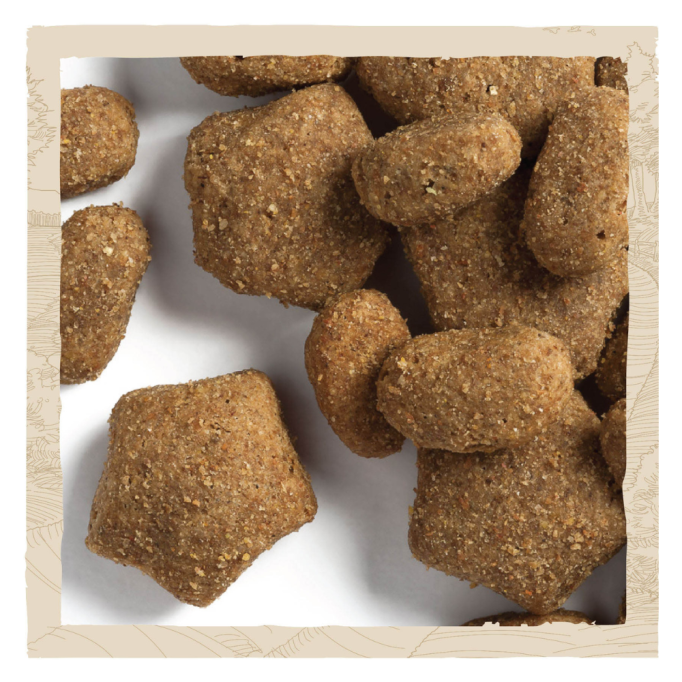 Dog Chow Sensitive Сухий корм з лососем для дорослих собак схильних до алергії 14кг