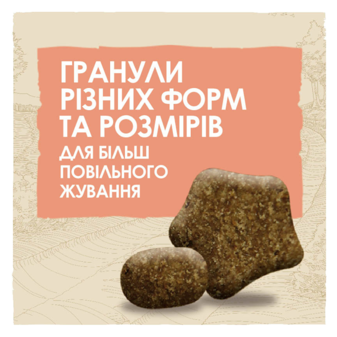 Dog Chow Sensitive Сухий корм з лососем для дорослих собак схильних до алергії 14кг