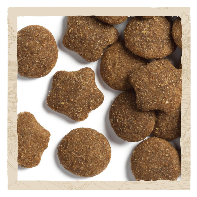 Dog Chow Puppy Large Breed Сухий корм для цуценят великих порід з індичкою 14кг