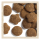 Dog Chow Puppy Large Breed Сухий корм для цуценят великих порід з індичкою 14кг