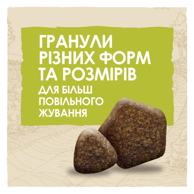 Dog Chow Adult Lamb Сухий корм з ягням для дорослих собак 14кг