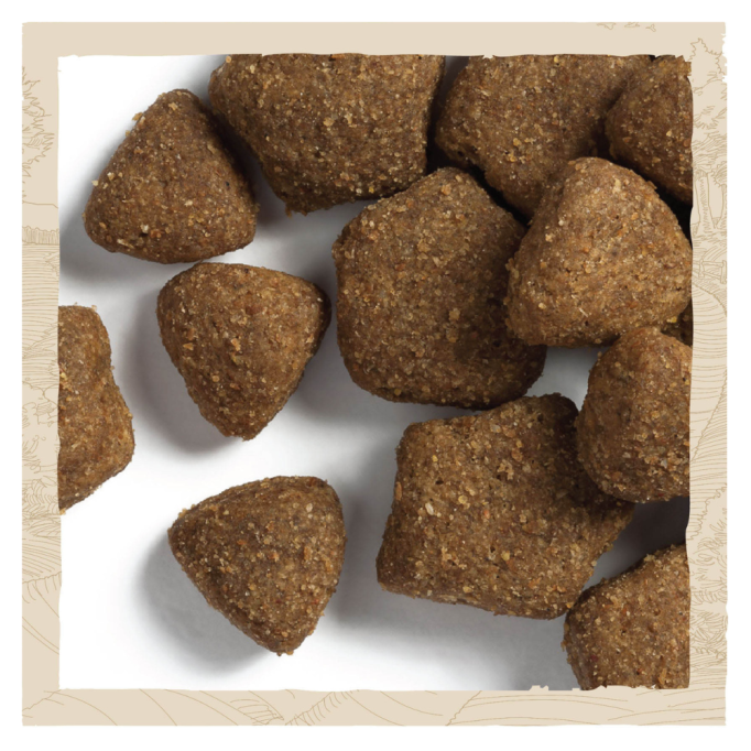 Dog Chow Adult Lamb Сухий корм з ягням для дорослих собак 14кг