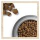 Dog Chow Adult Lamb Сухий корм з ягням для дорослих собак 14кг