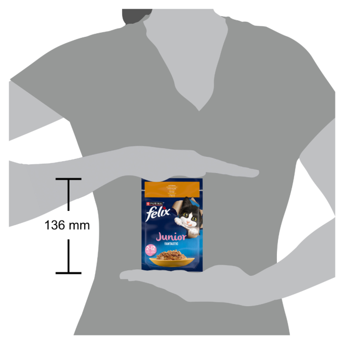 Felix Fantastic Junior Вологий корм з куркою для кошенят (в желе) 85г 26шт