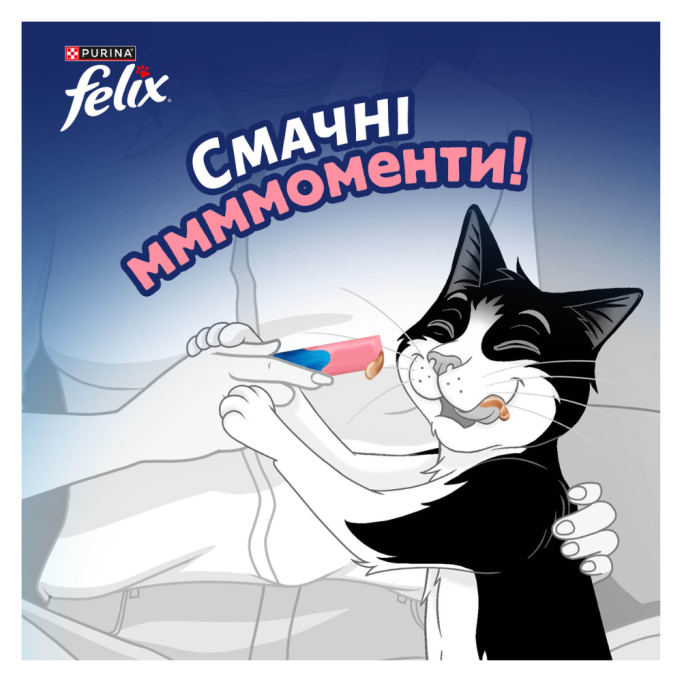 Felix Deli Moments Salmon Кремові ласощі з лососем для дорослих котів 10г 4шт