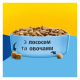 Friskies Sterilized Сухий корм з лососем і овочами для дорослих стерилізованих котів 10кг