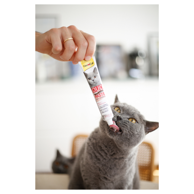GimCat DUO PASTE Anti-hairboll Malt with Chicken Вітамінізована паста мальт та курка для дорослих котів з чутливим травленням (виведення шерсті) 50г