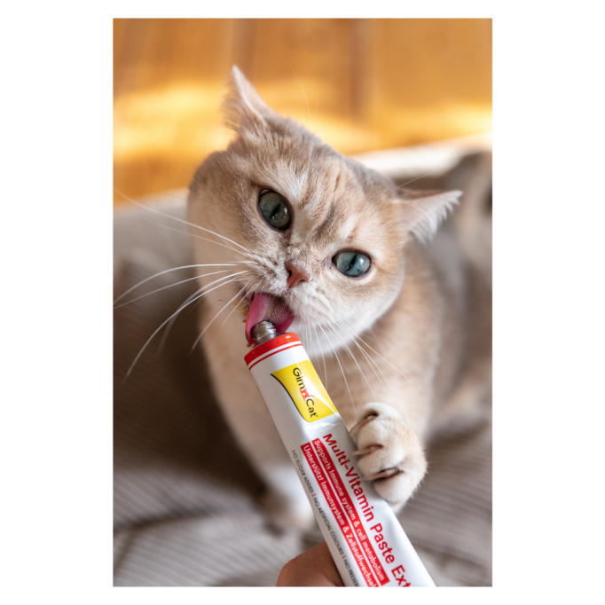 GimCat Multi-Vitamin Paste EXTRA Мультивітамінна паста для дорослих котів для покращення імунітета 100г