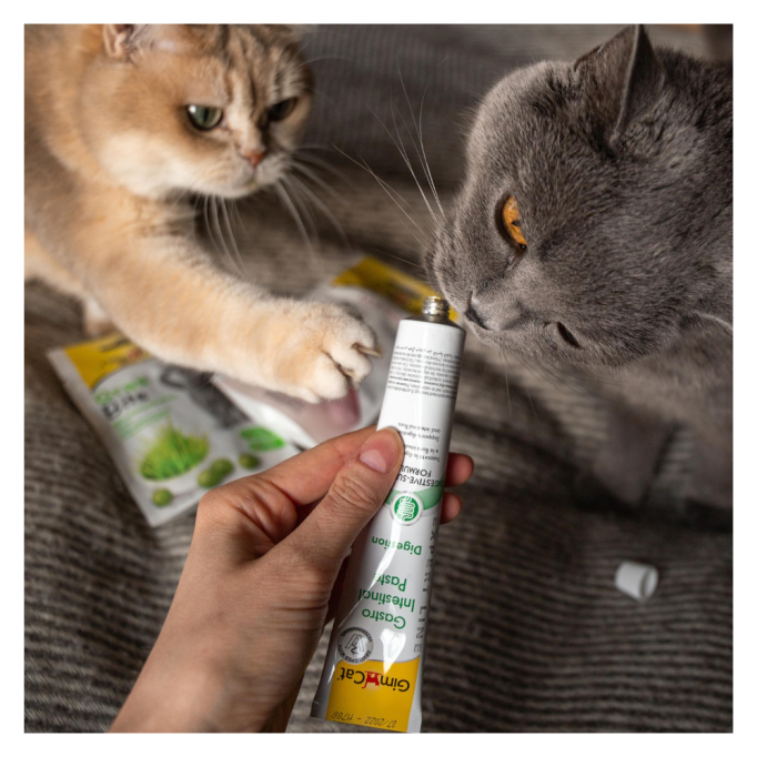 GimCat Expert Line Gastro Intestinal Вітамінізована паста для дорослих котів для покращення травлення 50г