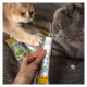GimCat Expert Line Gastro Intestinal Вітамінізована паста для дорослих котів для покращення травлення 50г