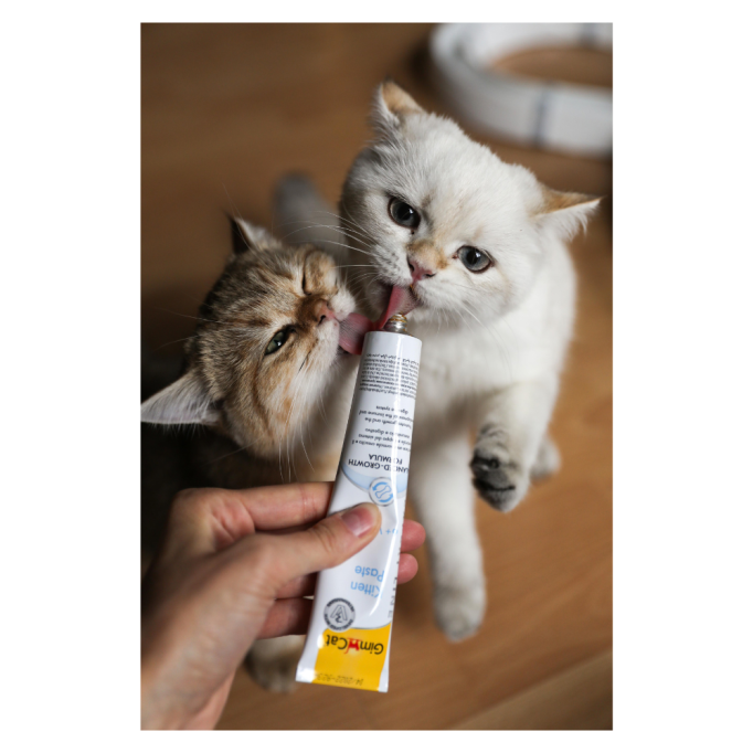 GimCat Expert Line Kitten Вітамінізована паста для кошенят 50г