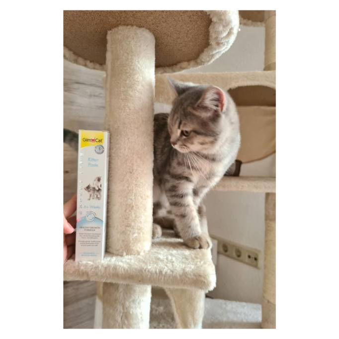 GimCat Expert Line Kitten Вітамінізована паста для кошенят 50г