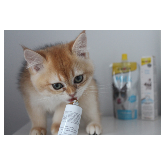 GimCat Expert Line Kitten Вітамінізована паста для кошенят 50г