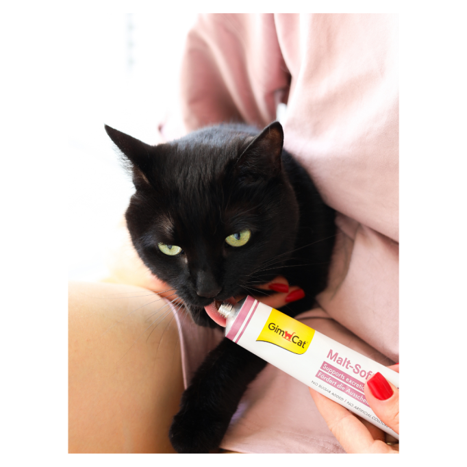 GimCat Every Day Malt-Soft Paste Extra Вітамінізована паста для виведення шерсті зі шлунку котів 20г