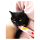 GimCat Every Day Malt-Soft Paste Extra Вітамінізована паста для виведення шерсті зі шлунку котів 20г