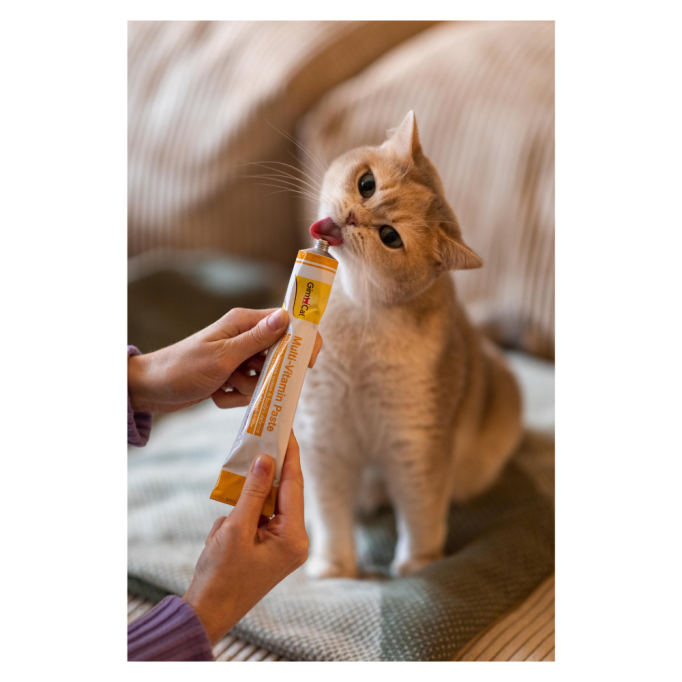 GimCat Multi-Vitamin Paste Мультивітамінна паста для дорослих котів для покращення імунітета 200г