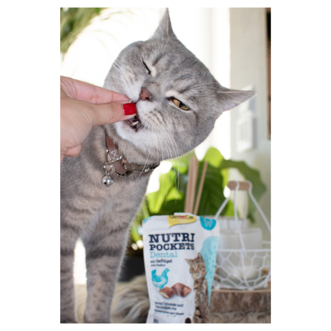 GimCat Nutri Pockets Dental Вітамінізовані ласощі для дорослих котів для здоров'я зубів 60г