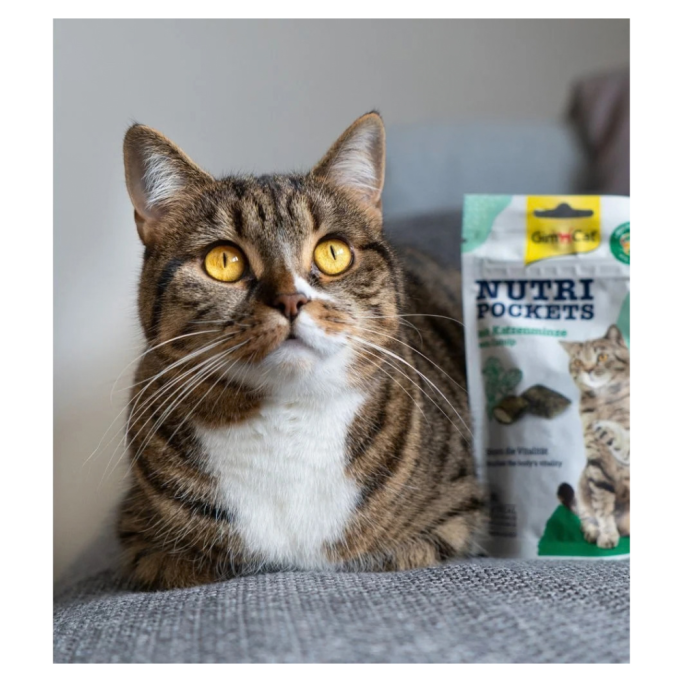 GimCat Nutri Pockets Catnip & Multivitamin Вітамінізовані ласощі з котячою м'ятою для дорослих котів 60г