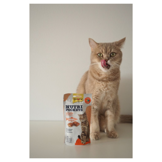 GimCat Nutri Pockets Salmon & Omega Вітамінізовані ласощі з лососем для дорослих котів для зміцнення імунної системи та здоров’я 60г