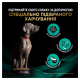 Purina Pro Plan Veterinary Diets EN Gastrointestinal Low Fat Сухий дієтичний корм для дорослих собак з низьким вмістом жирів 3,5кг
