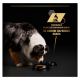 Purina Pro Plan Adult Вологий корм для дорослих собак, шматочки в желе з індичкою 400г