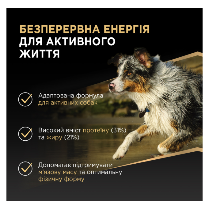 Purina Pro Plan Adult All Sizes Protein & Energy Cухий корм для дорослих собак усіх розмірів з куркою 14кг