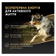 Purina Pro Plan Adult All Sizes Protein & Energy Cухий корм для дорослих собак усіх розмірів з куркою 14кг