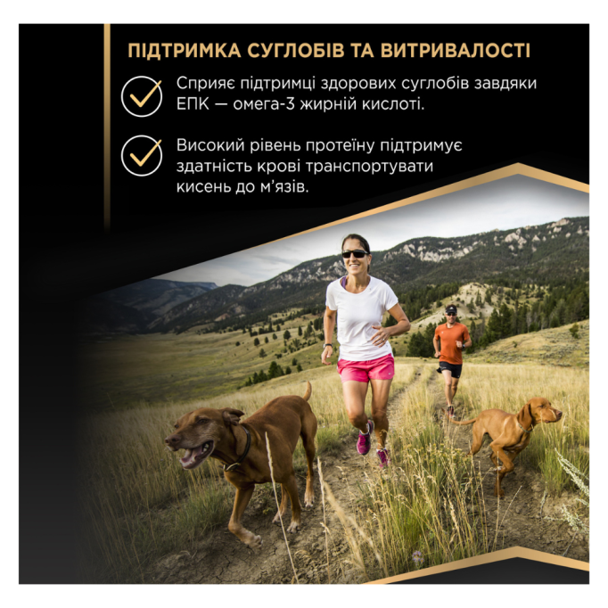 Purina Pro Plan Adult All Sizes Protein & Energy Cухий корм для дорослих собак усіх розмірів з куркою 14кг