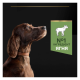 Purina Pro Plan Dog Adult Large Athletic Sensitive Digestion Lamb Сухий корм з ягням для дорослих собак великих порід атлетичної статури із чутливим травленням 14кг