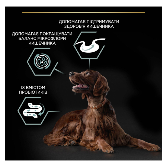 Purina Pro Plan Dog Adult Large Athletic Sensitive Digestion Lamb Сухий корм з ягням для дорослих собак великих порід атлетичної статури із чутливим травленням 14кг